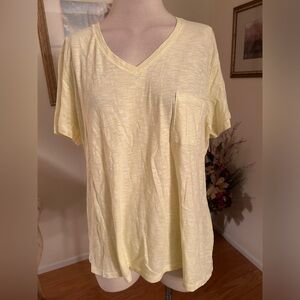 Time & Tru NWOT lemon/lime striped tee size XXL (20). C:5029-5/20/26